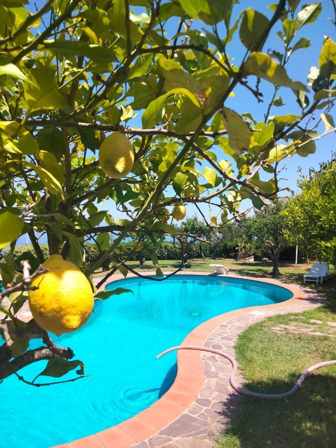 Casa Morello Zambrone Ngoại thất bức ảnh